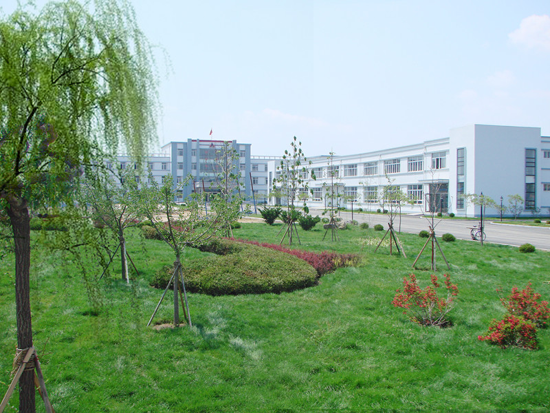 欢乐奥龙人，激昂青春梦